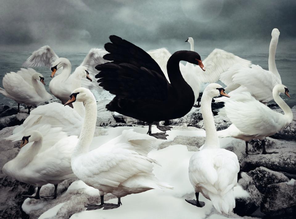 black-swan-covid